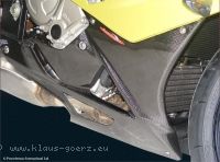 Carbon Verkleidungsunterteil
