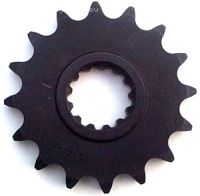 Ritzel