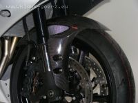 Powerbronze Vorderkotfl�gel