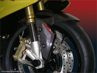 kleines Bild Carbon_Vorderkotfluegel_BMW_S1000RR